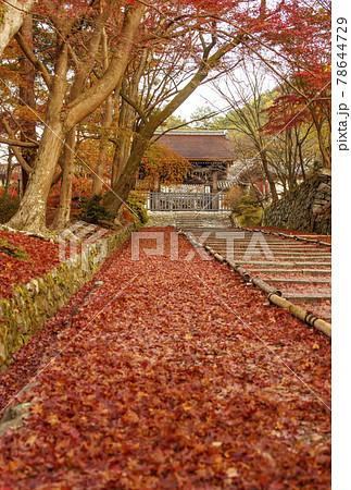 京都毘沙門堂　紅葉の風景　京都紅葉名所　京都観光スポット 78644729