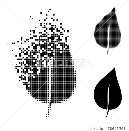 Decomposed and Halftone Dotted Plant Leaf Icon 78645568