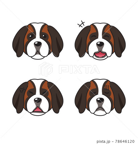 Set of character saint bernard dog faces showing different emotions Set of character saint bernard dog faces showing different emotions 78646120