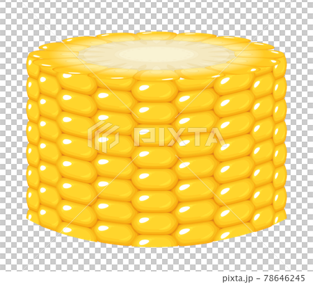 とうもろこしの輪切りのイラスト とうもろこしの輪切りのイラスト 78646245