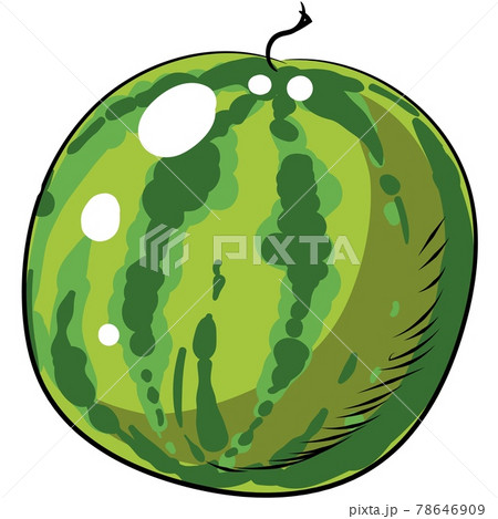 Watermelon vector cartoon summer fruit icon illustration Watermelon vector cartoon summer fruit icon illustration 78646909
