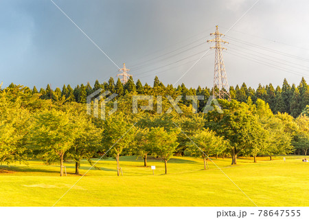 Parkland lit by setting sun, Kanazawa, Japan. 78647555