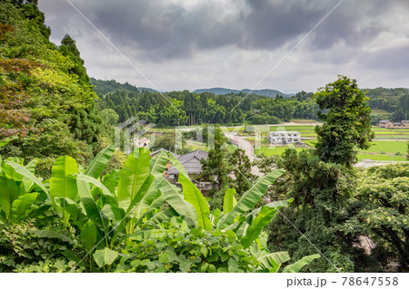 Summer view of countryside. Hanibe, Japan. 78647558