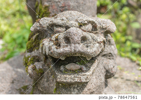 Lion-dog, or komainu, at Hanibe caves, Japan. Lion-dog, or komainu, at Hanibe caves, Japan. 78647561