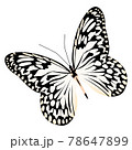 Realistic butterfly white black colors isolated on white background 78647899
