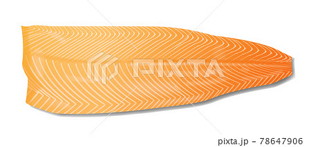 Salmon fish fillet realistic vector illustration isolated on white background 78647906
