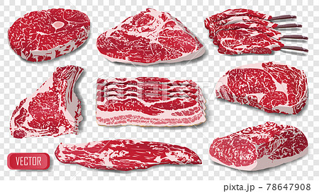 Set of realistic raw meat isolated. Cow pork steak grill food beef vector illustration 78647908