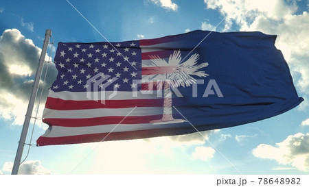 Flag of USA and South Carolina state. USA and South Carolina Mixed Flag waving in wind. 3d rendering 78648982