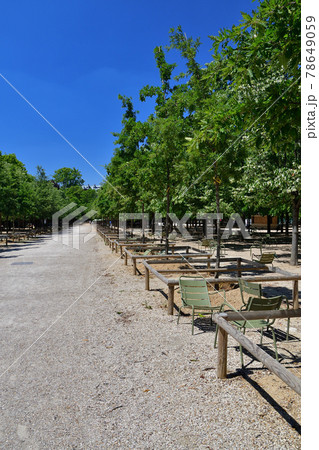 フランス・パリ、リュクサンブール公園、2020年6月2日撮影。 78649059