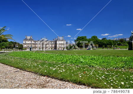 フランス・パリ、リュクサンブール公園、2020年6月2日撮影。 78649078