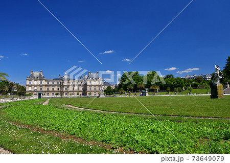 フランス・パリ、リュクサンブール公園、2020年6月2日撮影。 78649079