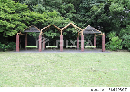 あじさい　茶屋ヶ坂公園 78649367