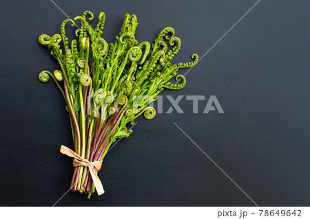 Paco Fern on dark background. 78649642