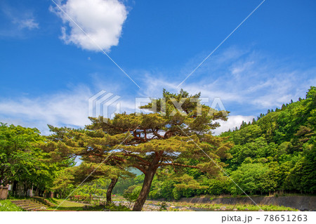 箒川沿い　塩原渓谷歩道　遊歩道付近の景色　　　　　 78651263