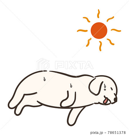 体調不良の犬と太陽 熱中症のイラスト素材