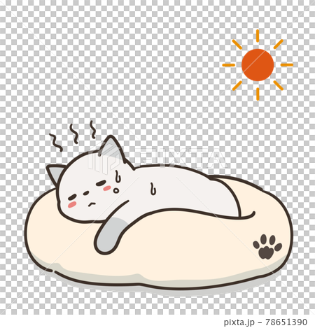 Unwell cat and sun heat stroke Unwell cat and sun heat stroke 78651390