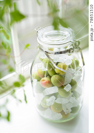 保存瓶に入った青梅と氷砂糖 78651510