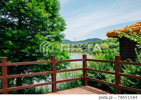 Summer of Incheon Grand Park in Korea Summer of Incheon Grand Park in Korea 78651584