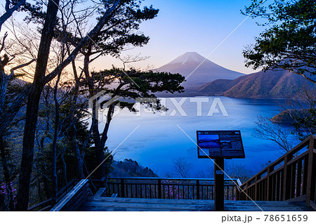 夜明けの富士山と本栖湖（中ノ倉峠展望地より） 78651659