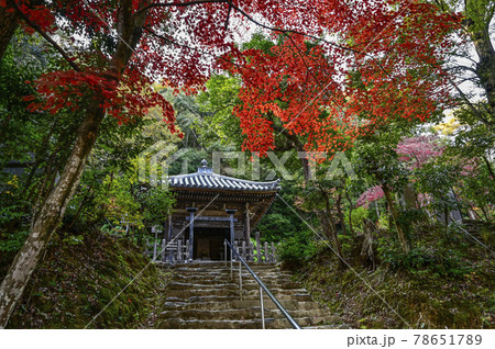 紅葉の二尊院　法然上人御廟 78651789