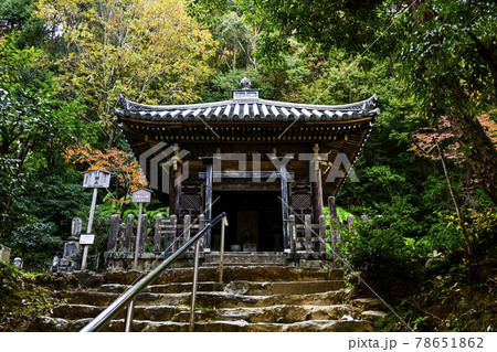 紅葉の二尊院 法然上人御廟 紅葉の二尊院 法然上人御廟 78651862