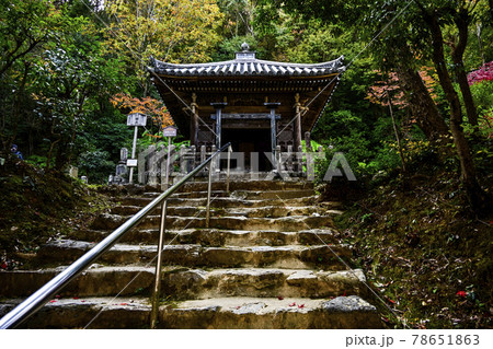 紅葉の二尊院 法然上人御廟 紅葉の二尊院 法然上人御廟 78651863