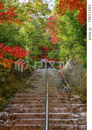 紅葉の二尊院　法然上人廟への参道 78651902