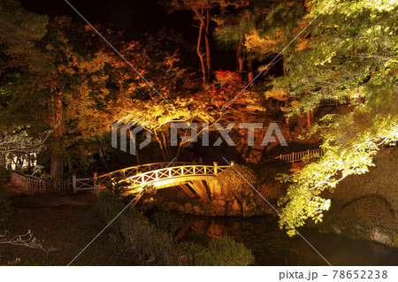 日本の紅葉~夜景、橋を入れて 函館市香雪園(見晴公園)にて 日本の紅葉~夜景、橋を入れて 函館市香雪園(見晴公園)にて 78652238