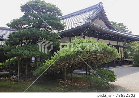 京都金閣寺 京都金閣寺 78652502