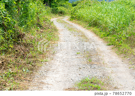 ダート・未舗装路 田舎の道路 ダート・未舗装路 田舎の道路 78652770