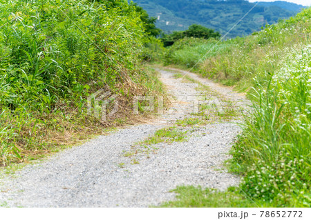 ダート・未舗装路 田舎の道路 ダート・未舗装路 田舎の道路 78652772