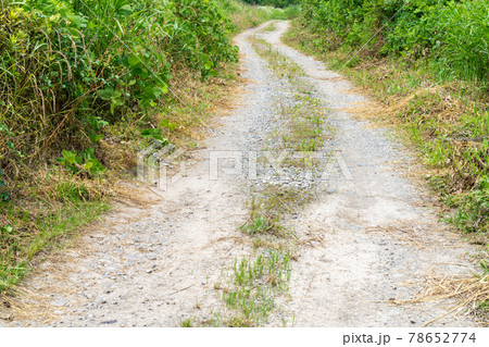 ダート・未舗装路 田舎の道路 ダート・未舗装路 田舎の道路 78652774
