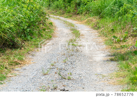 ダート 未舗装路 田舎の道路の写真素材