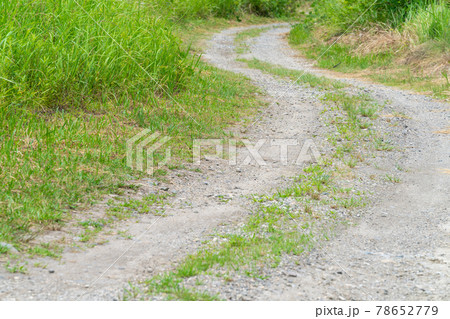 ダート・未舗装路 田舎の道路 ダート・未舗装路 田舎の道路 78652779