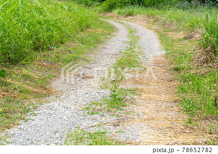 ダート・未舗装路 田舎の道路 ダート・未舗装路 田舎の道路 78652782