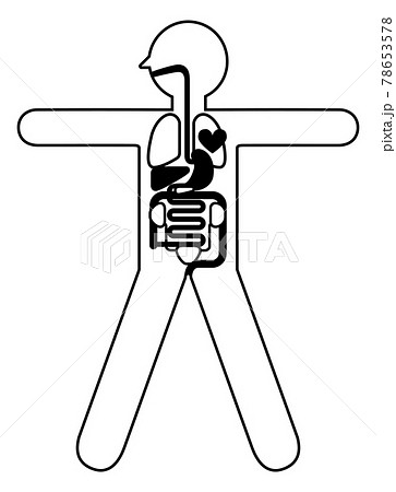 人体解剖図 身体の構造イラスト図解 大の字 線画 心臓 肺 肝臓 胃袋 小腸 大腸膀胱腎臓のイラスト素材