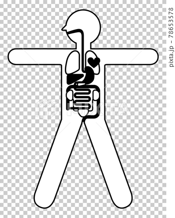 人体解剖図 身体の構造イラスト図解 大の字 線画 心臓 肺 肝臓 胃袋 小腸 大腸膀胱腎臓のイラスト素材