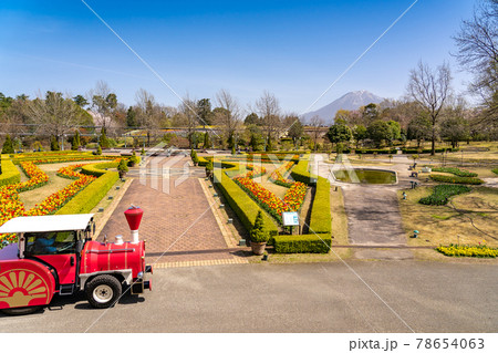 鳥取県 春のとっとり花回廊のヨーロピアンガーデンをめぐるフラワートレイン 鳥取県 春のとっとり花回廊のヨーロピアンガーデンをめぐるフラワートレイン 78654063