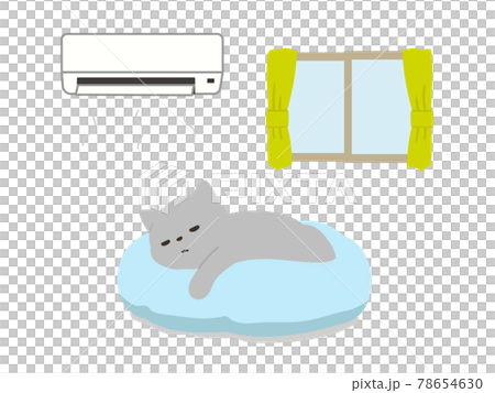 エアコンが付いた部屋で眠る猫　熱中症対策 78654630