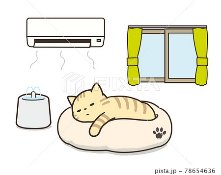 エアコンが付いた部屋で眠る猫　熱中症対策　給水器 78654636
