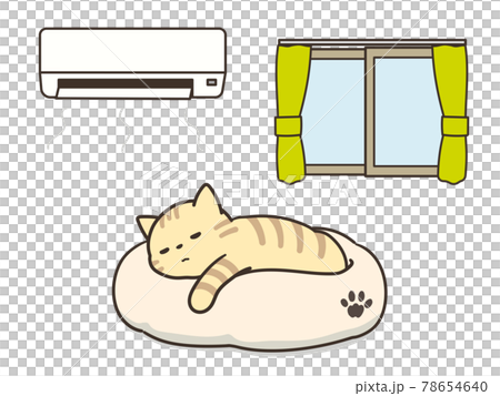 Tabby cat sleeping in an air-conditioned room Measures against heat stroke Tabby cat sleeping in an air-conditioned room Measures against heat stroke 78654640