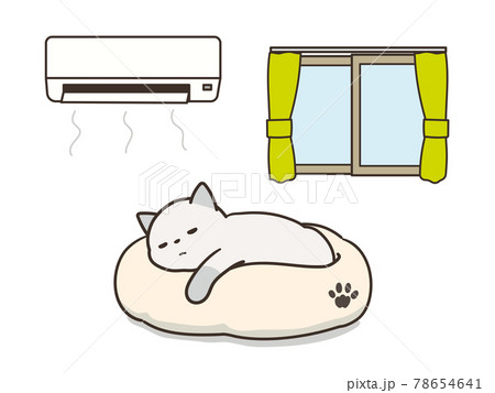 エアコンが付いた部屋で眠るトラ猫　熱中症対策 78654641