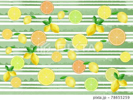 輪切りにした柑橘系果実のカラーイラストのイラスト素材
