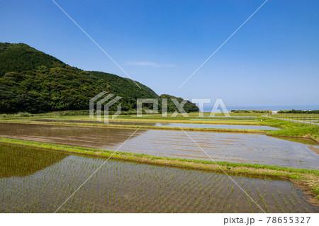 宇賀の水田 山口県下関市豊浦町 宇賀の水田 山口県下関市豊浦町 78655327