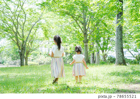 草原　森林　姉妹　女の子　自然 78655521