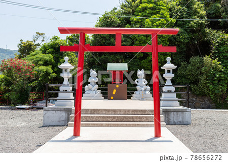 絶景の地に建つ元乃隅神社　山口県長門市 78656272