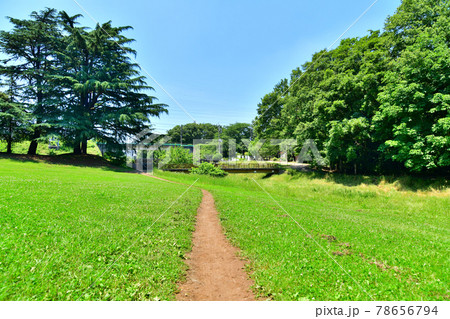 都立 野川公園/北地区(東京都調布市)【2021.6】 都立 野川公園/北地区(東京都調布市)【2021.6】 78656794