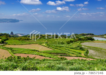 日本の棚田百選東後畑の棚田　山口県長門市　 78657346