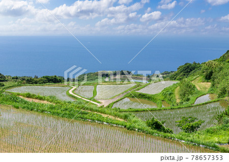 日本の棚田百選東後畑の棚田　山口県長門市　 78657353