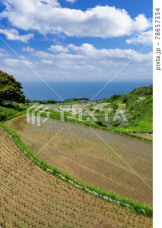 日本の棚田百選東後畑の棚田　山口県長門市　 78657354